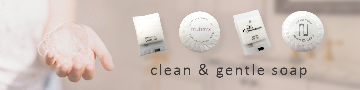 inroom_banner_handsoap